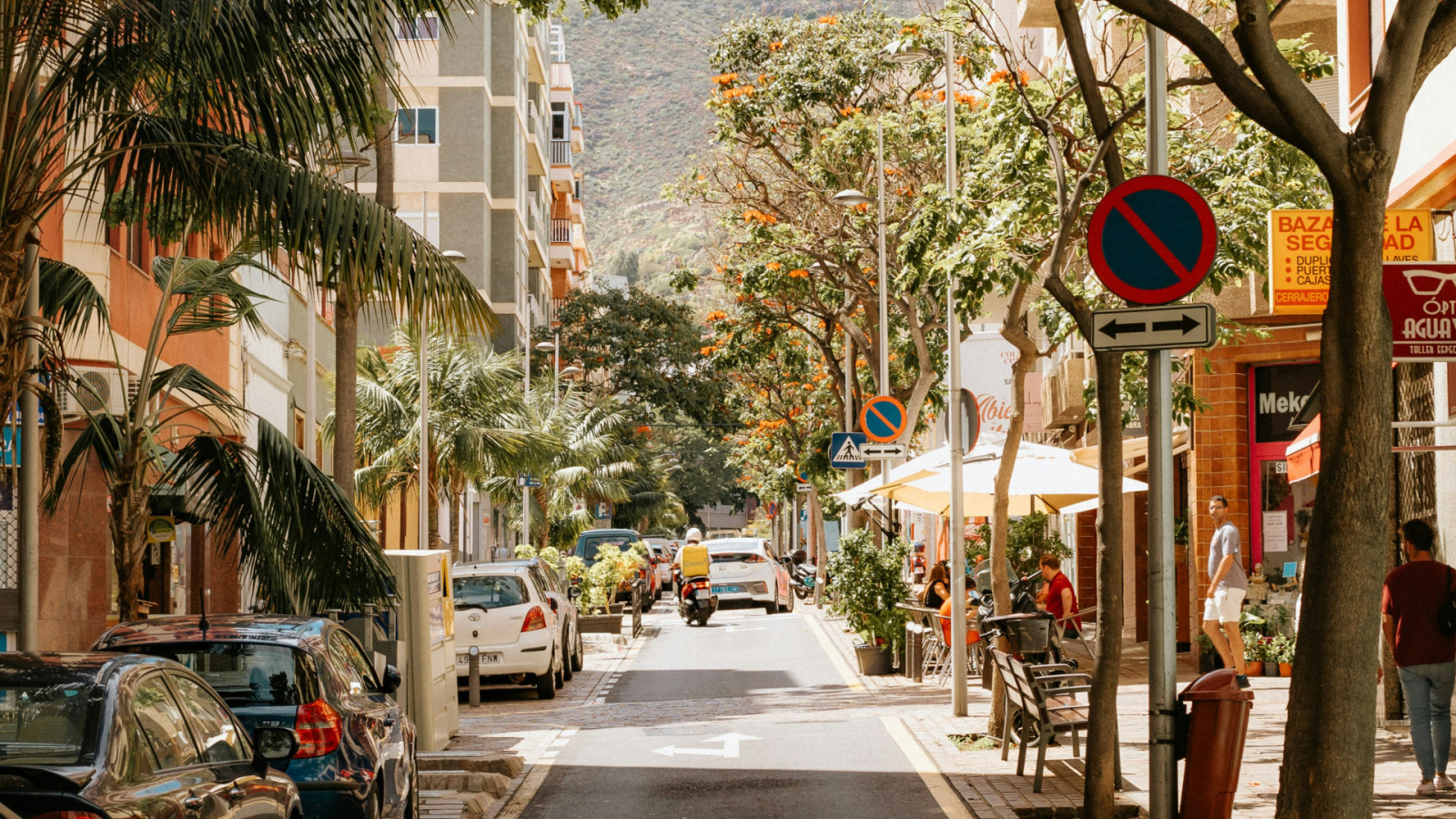 road-trip-tenerife